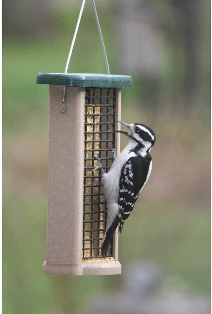 Birds Choice Hanging Suet Bird Feeder