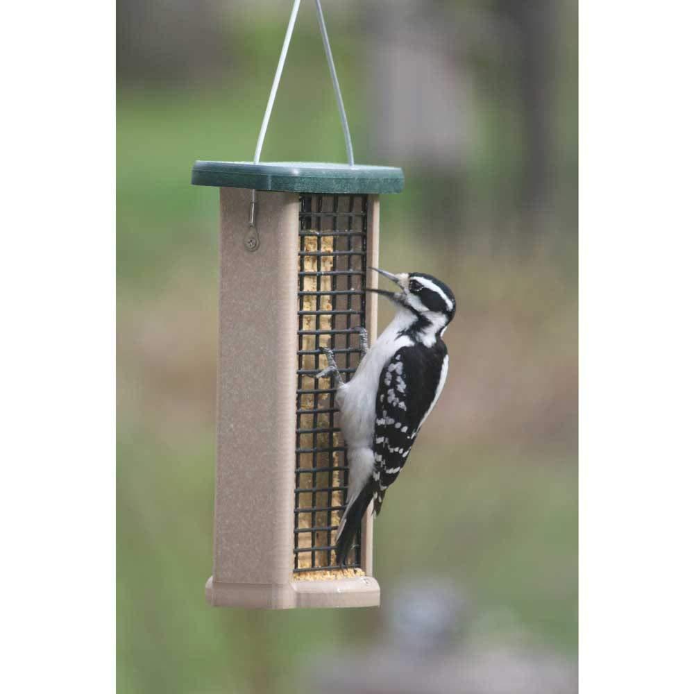 Birds Choice Hanging Suet Bird Feeder