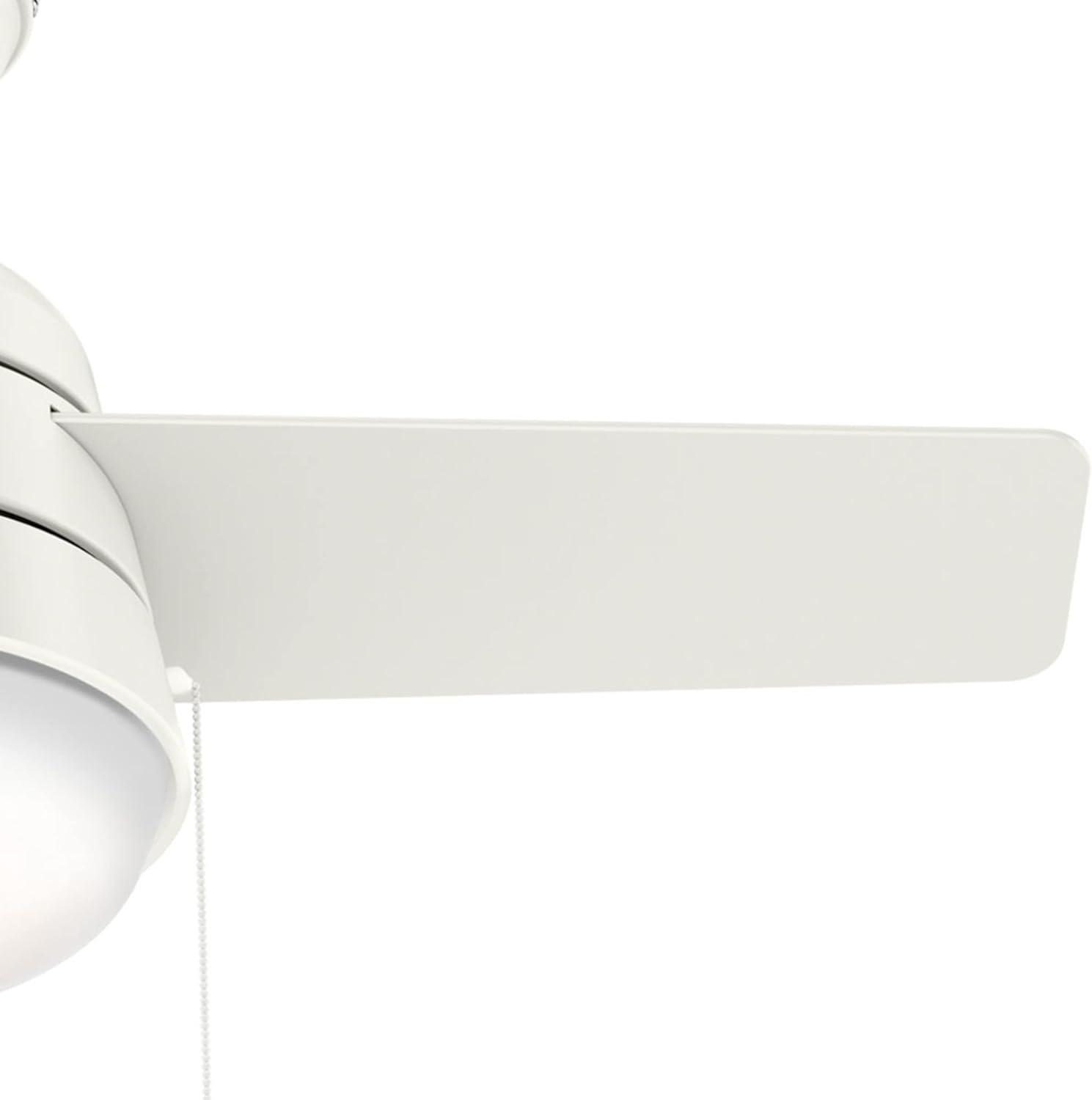 Aker 36" 3 - Blade Standard Ceiling Fan with Lights and Pull Chains
