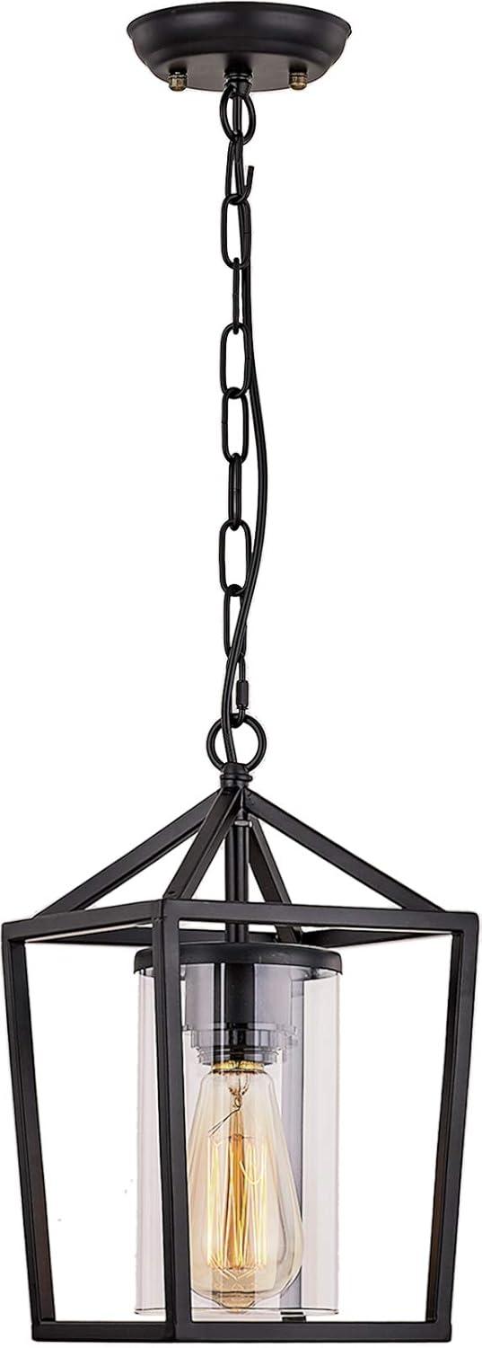 Black Metal and Glass Vintage Cage Outdoor Pendant Light