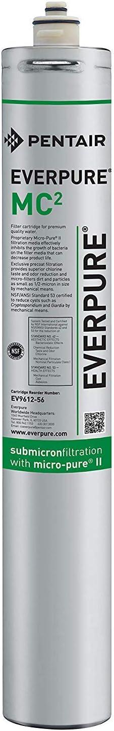 Pentair/Everpure Quick Connect Filter,0.5 micron,1.7 gpm  EV961256-75