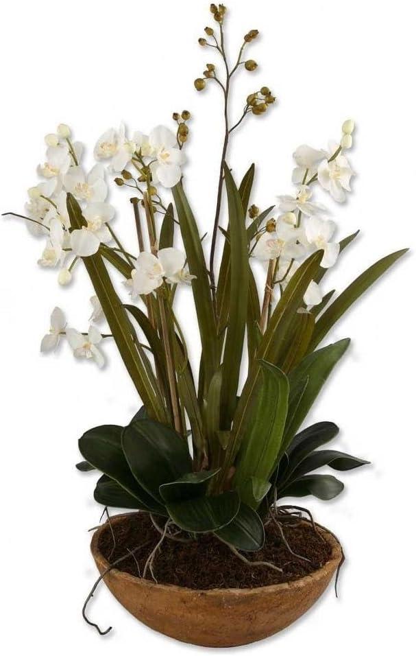 Contemporary Brown and White Moth Orchid 33.5" Planter