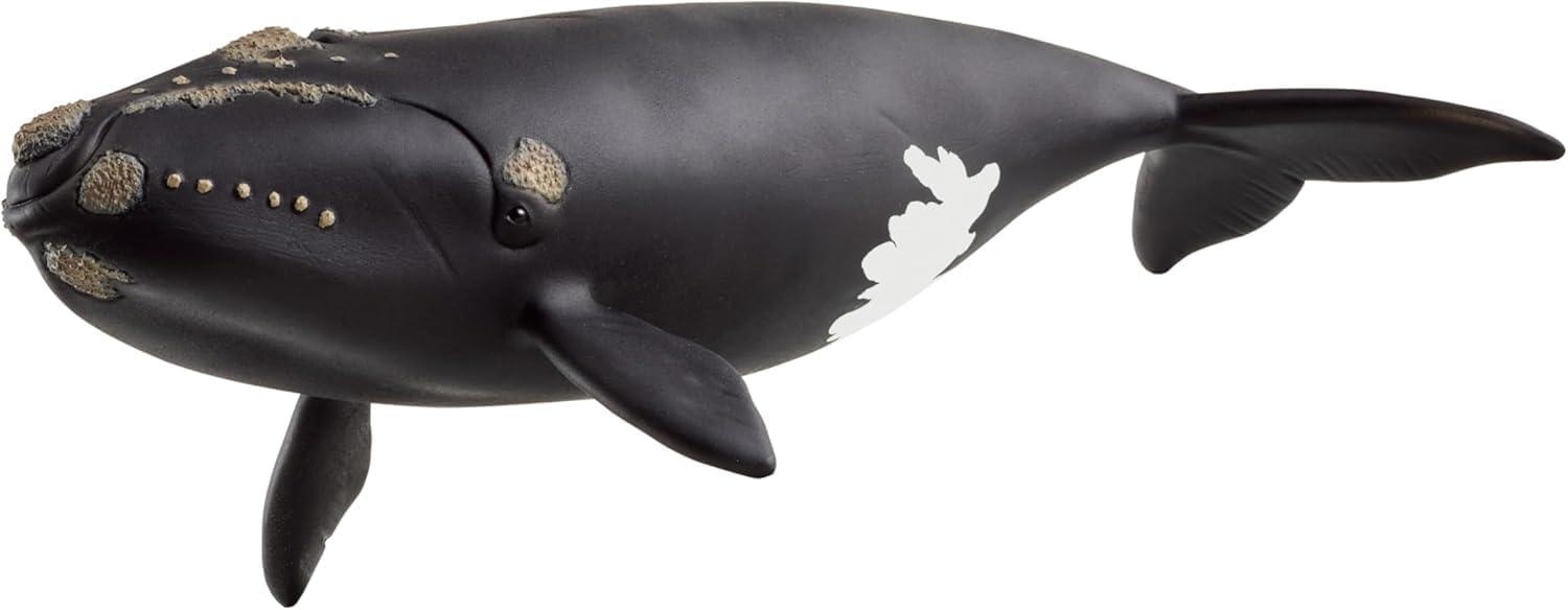 Schleich Wild Life North Atlantic Right Whale