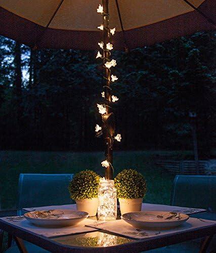 Warm White Solar Powered Outdoor Fairy String Lights, 16 Feet, 2 Pack