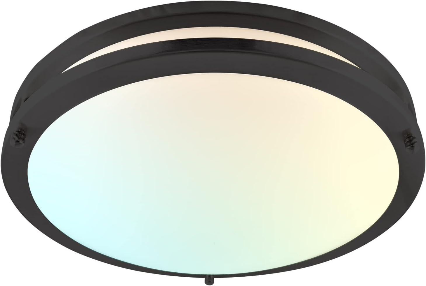 Matte Black 14" LED Flush Mount Ceiling Light with Color Temperature Control