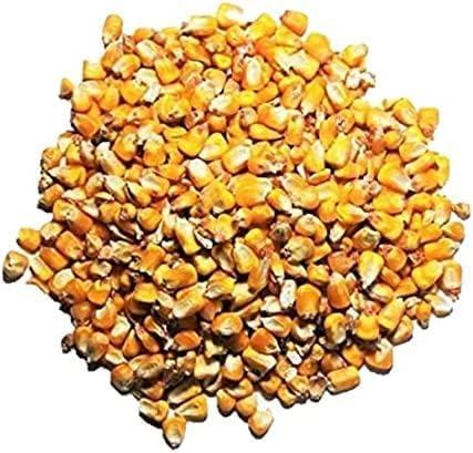 Whole Corn Kernels 10 lb Bag for Wildlife Feed