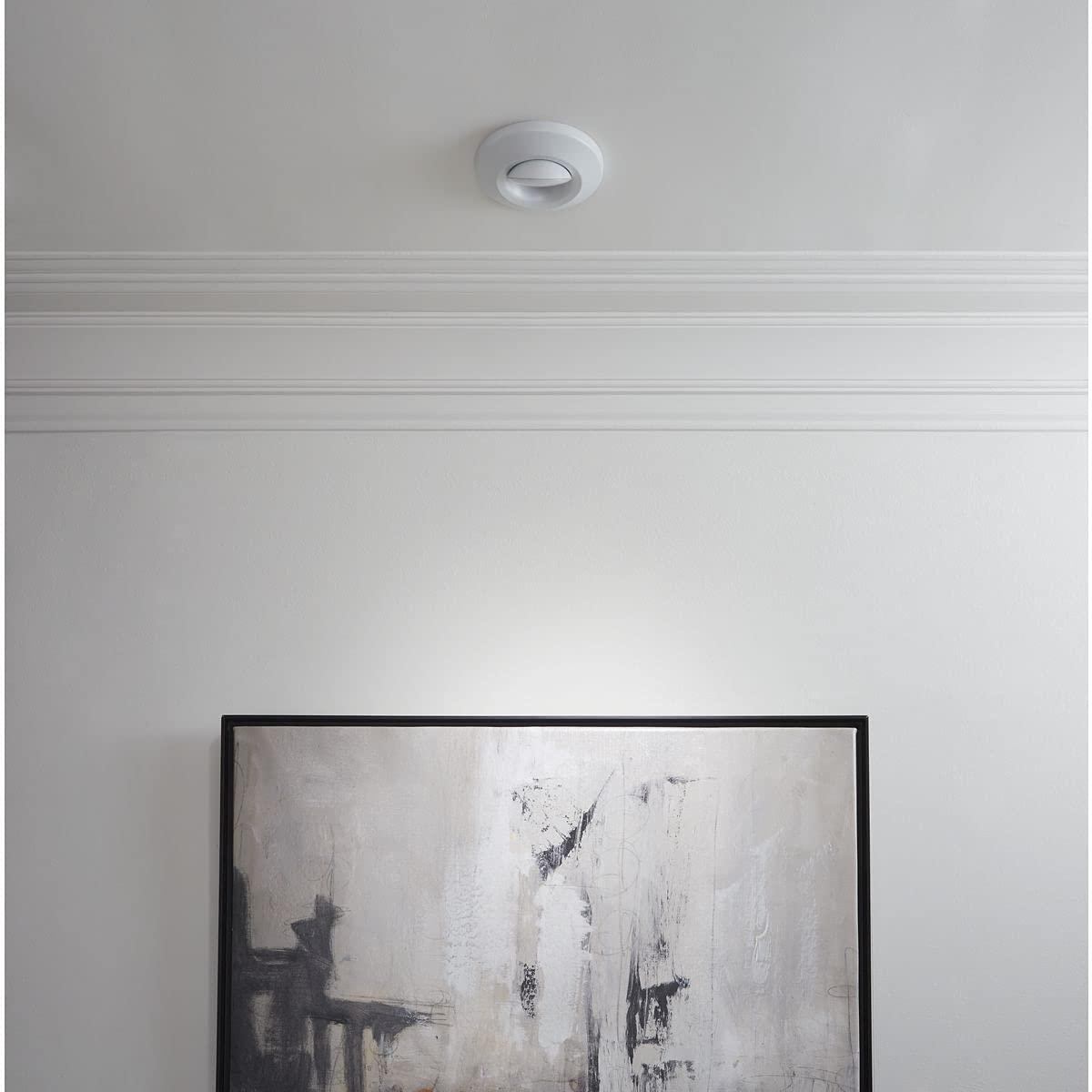 Progress Lighting, Intrinsic Collection, 1-Light Surface Mount, Satin White, Eyeball Downlight