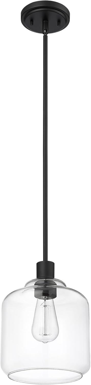 Millennium Lighting Asheville 1 - Light Dimmable Pendant