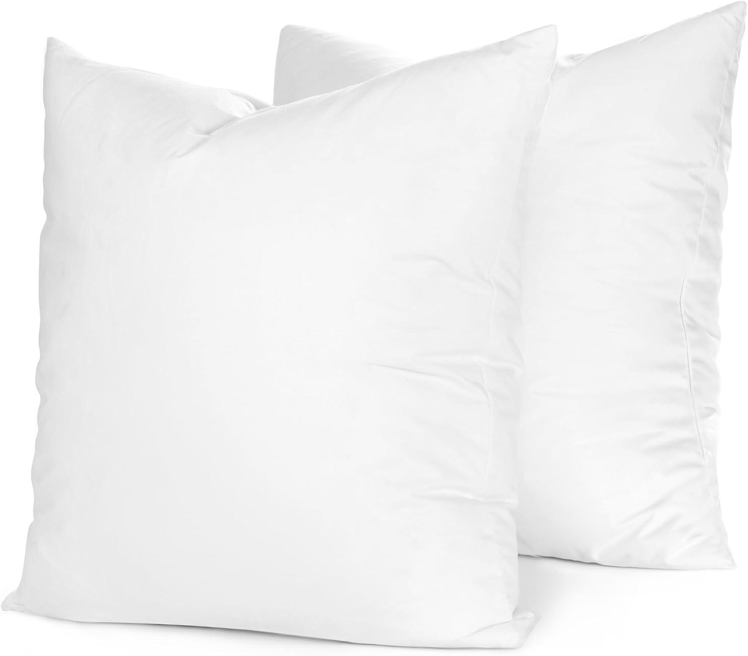 Set of 2 White Euro Down Fill Decorative Pillows