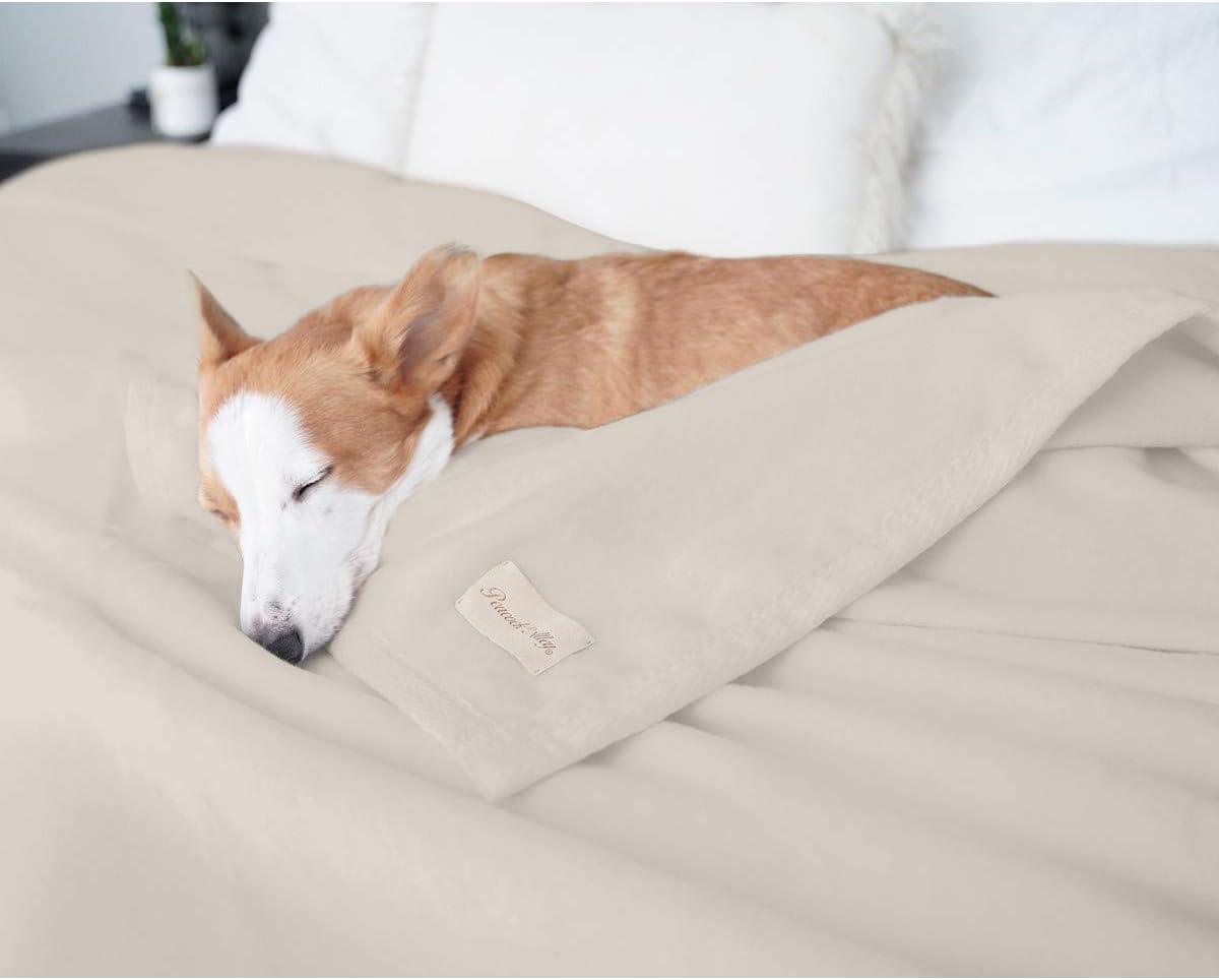 Peacock Alley Signature All Seasons 100% Cotton Blanket