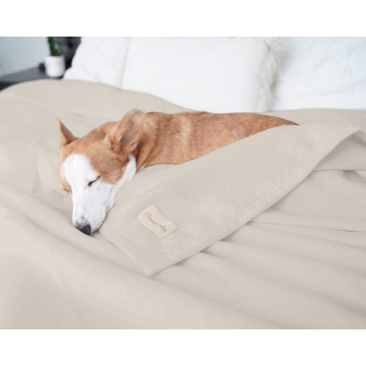 Signature All Seasons 100% Cotton Blanket