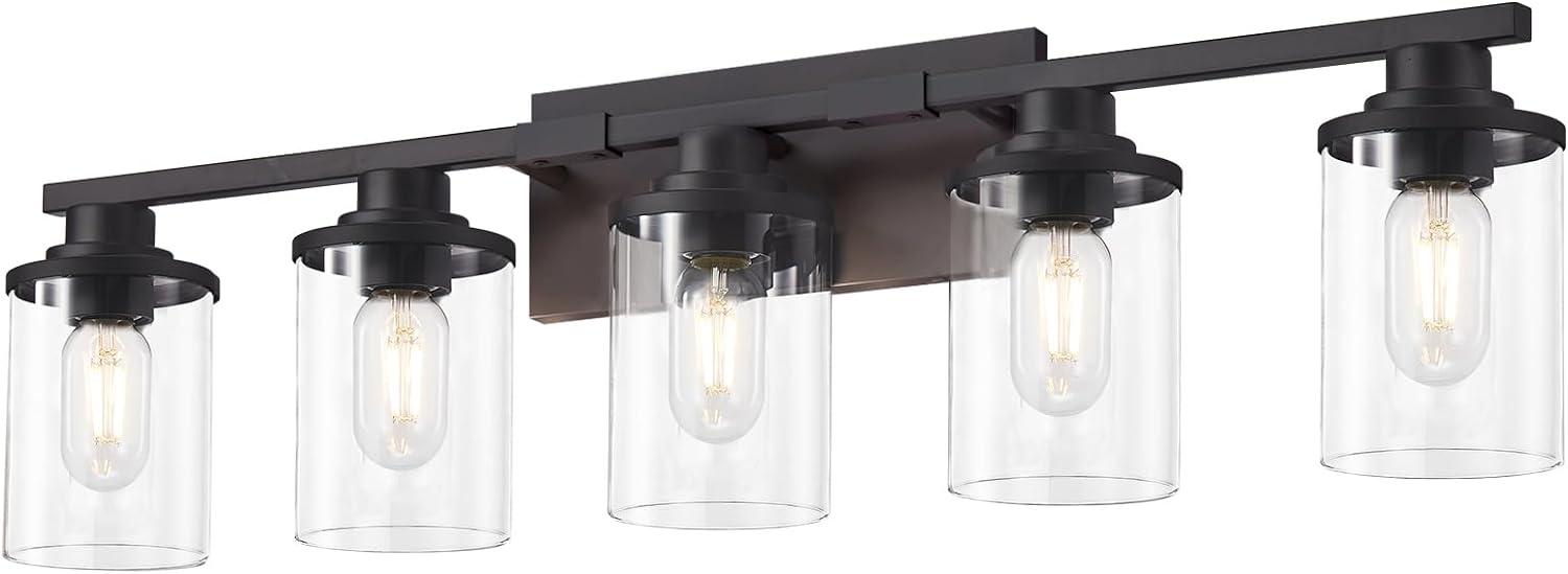 Matte Black 5-Light Bathroom Vanity Fixture with Glass Shades