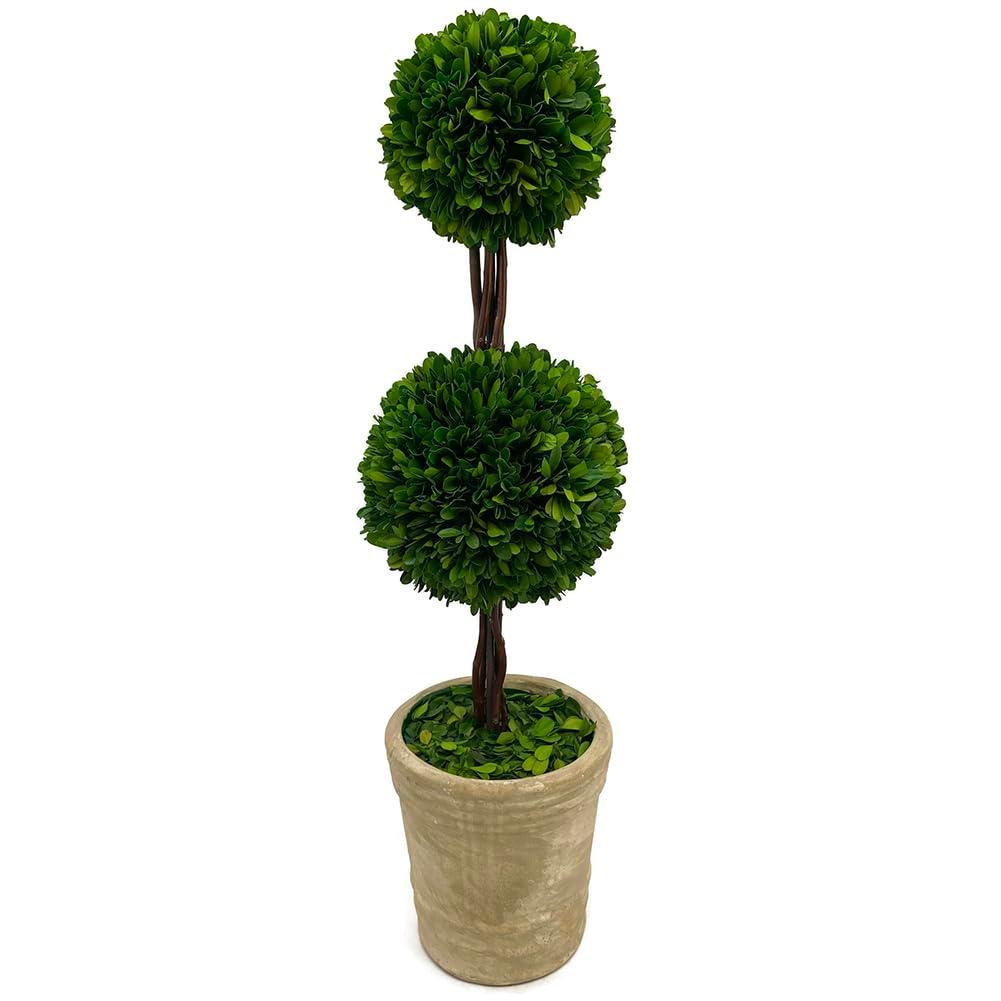 Modern Home 27" Real Preserved Boxwood Topiary Plant – Double Ball Faux Greenery in Rustic Pot – Indoor Outdoor Decorative Potted Plant for Home, Office, Porch, Patio, or Event Décor