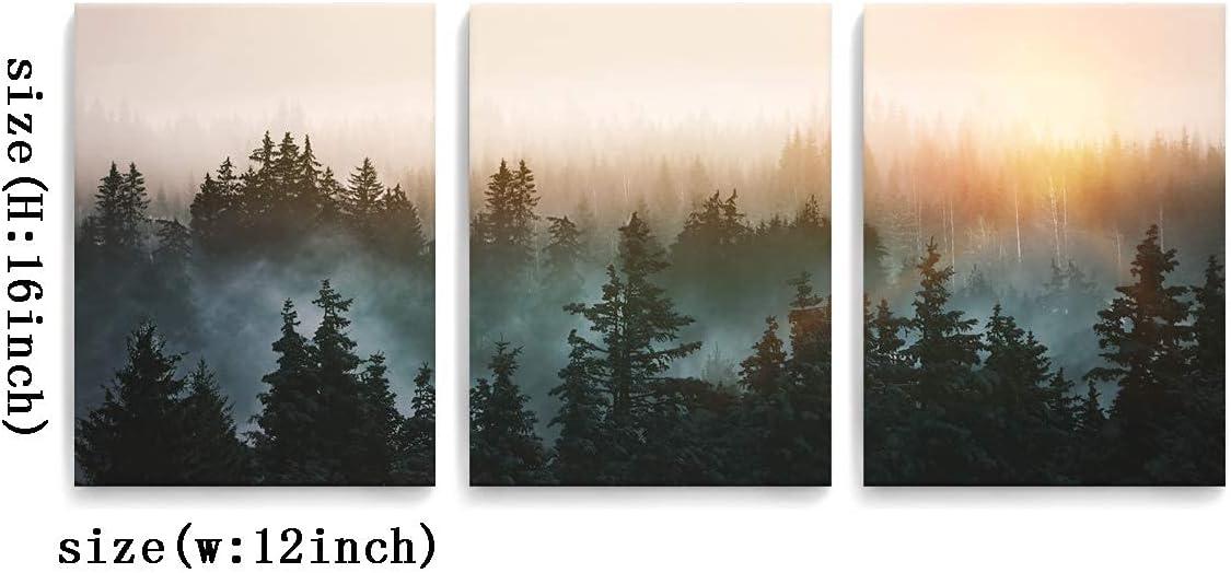 Sunlit Forest Landscape Framed Canvas Print Set