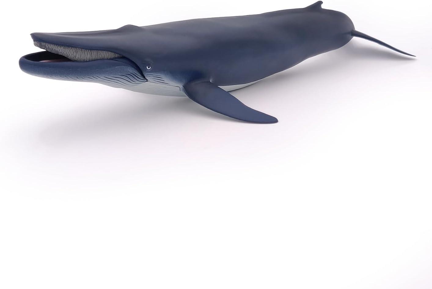 Papo - Blue Whale - Figurine Marine Animals - 3 Years Old - Cetaceans and Marine Mammals - Hand Painted - Durable Educational Toy - 38,5 x 17 x 7,5 cm - Children's Toy - Gift Idea - Blue Whale Toy