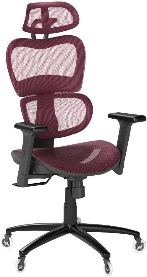 Nouhaus Ergo3D Ergonomic Office Chair Lumbar Support Mesh Office Chair with 4D Adjustable Armrest, Adjustable Headrest and Wheels, Mesh High Back Home Office Desk Chairs(Burgundy)