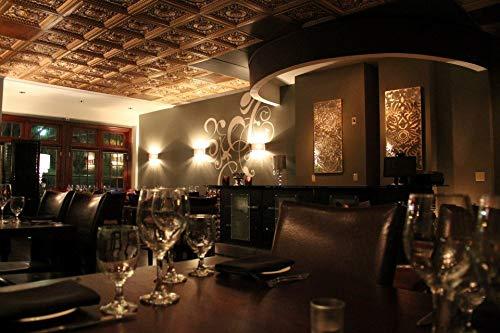 FromPlainToBeautifulInHours Rhine Valley 2 Ft. X 2 Ft. Drop-In PVC Ceiling Tile (Set of 25)