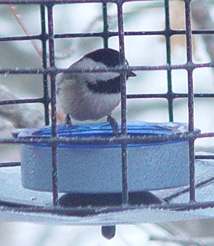 Blue Glass and Metal Squirrel Resistant Hanging Bird Feeder