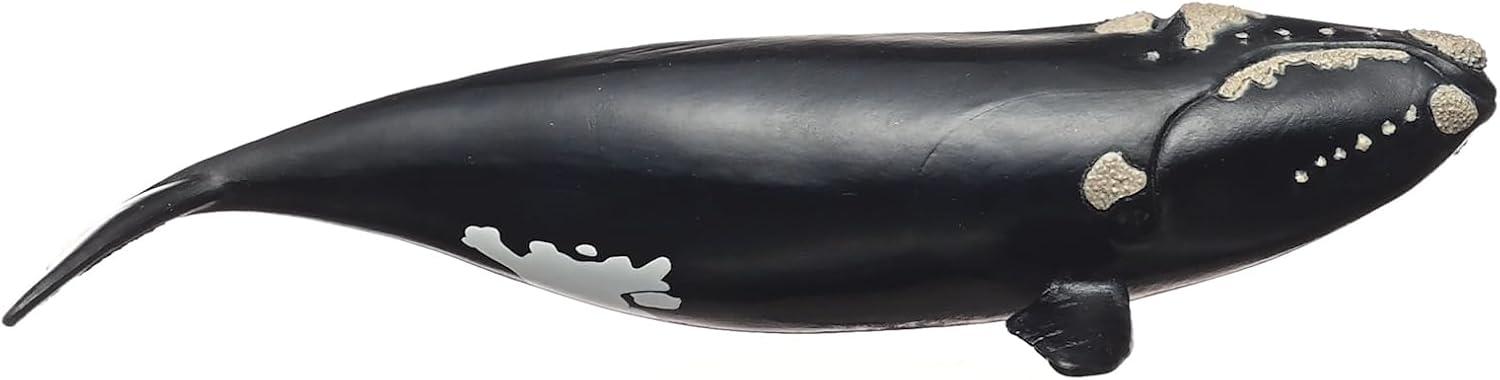 Schleich Wild Life North Atlantic Right Whale