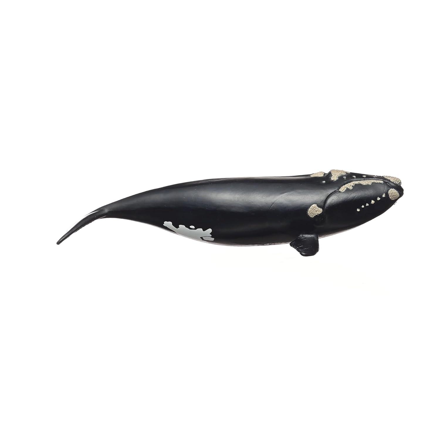 Schleich Wild Life North Atlantic Right Whale