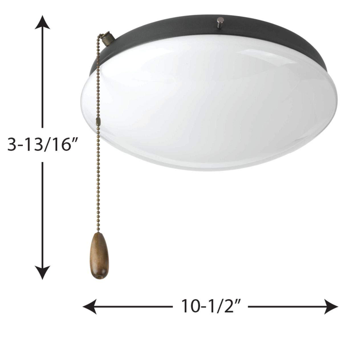 Wrought Studio™ 10.5'' 2 - Light Bowl Ceiling Fan Light Kit