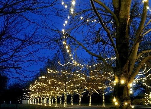 Novelty Lights Warm White 100 LED Christmas Mini Light Set (Brown Wire, 34 Feet)