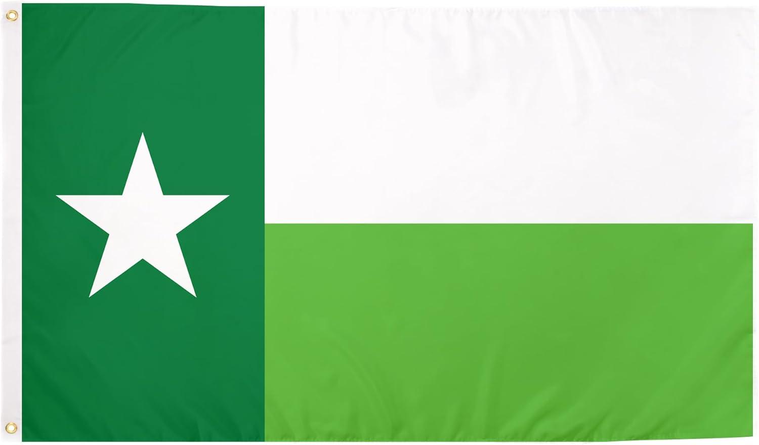 Desert Cactus University of North Texas Flag UNT Mean Green Flags Banners 100% Polyester Indoor Outdoor 3x5 (Green Texas Flag)