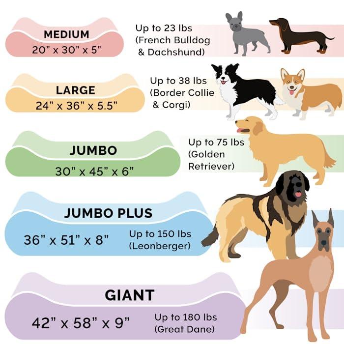 Orthopedic Polyester Pet Bed