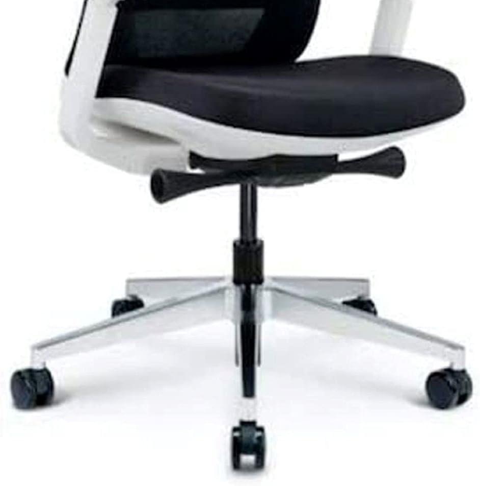 Eurotech Elevate Ergonomic Adjustable Office Chair, White Frame Black Mesh