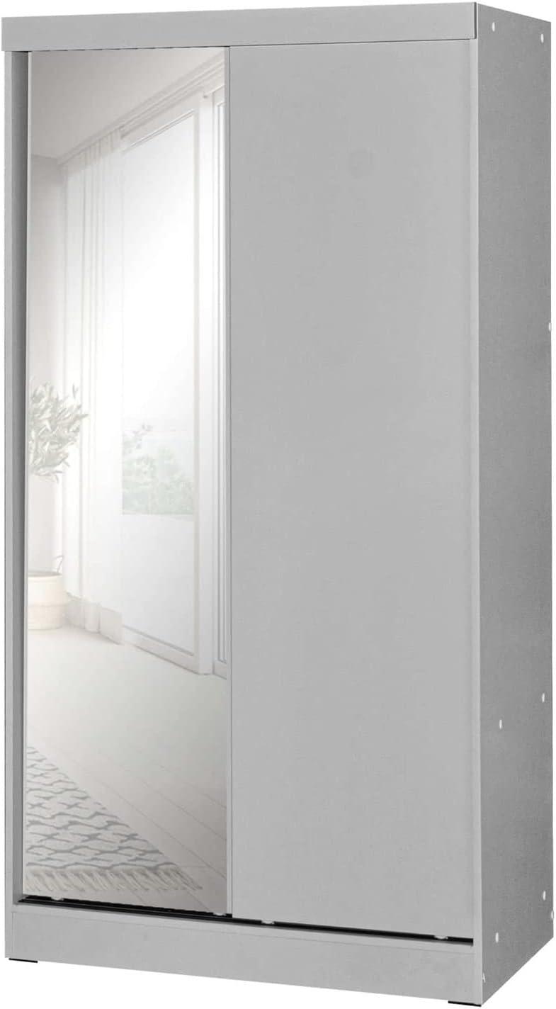 Transitional Light Gray Double Sliding Door Wardrobe with Mirror