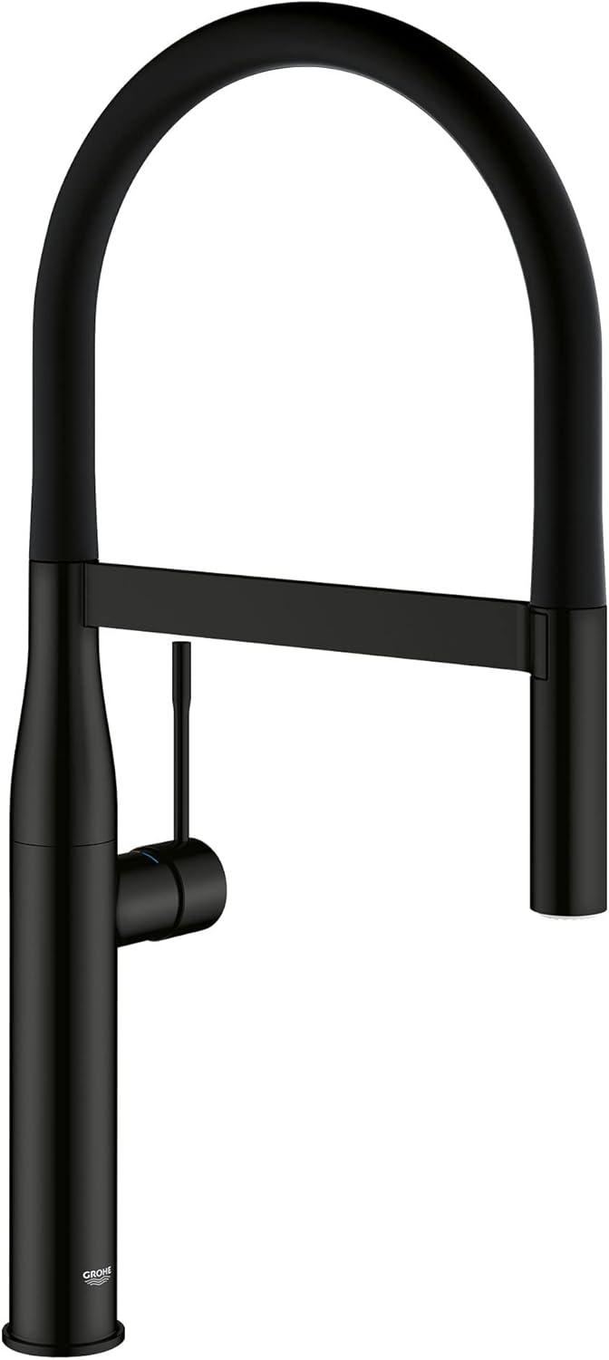 Essence New Single Handle Kitchen Faucet with SilkMove® and with Accessories