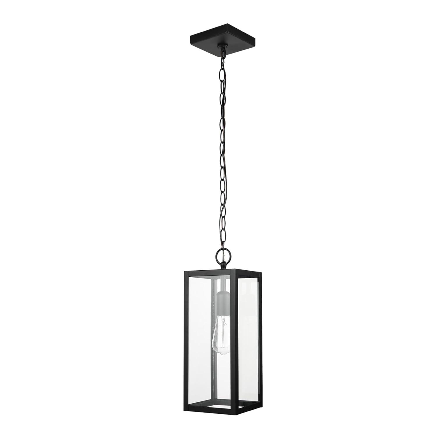 1-Light Matte Black Outdoor Pendant Lighting with Clear Glass Shade