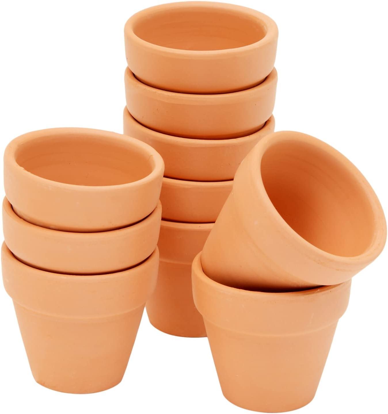 Charming Mini Terracotta Planters with Drainage for Succulents and Herbs, 10-Pack