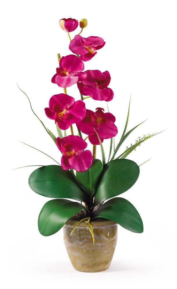 Nearly Natural Phalaenopsis Silk Orchid Flower Arrangement, Beauty
