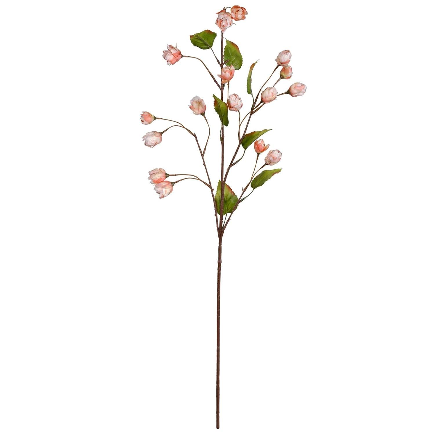 Blush Hops Stem by Ashland®