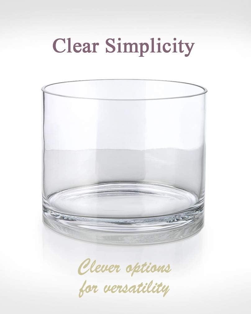 Serene Spaces Living Clear Glass Cylinder Vase, Single