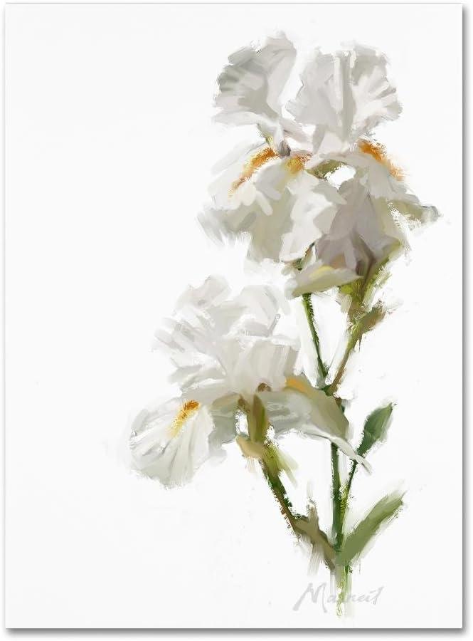 Trademark Fine Art The Macneil Studio " White Iris " by The Macneil Studio