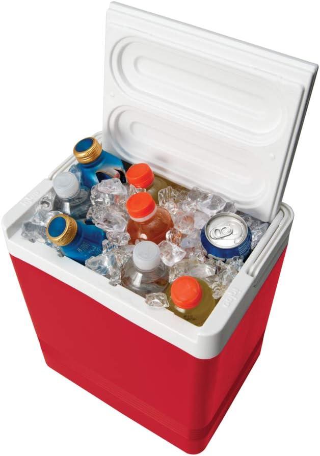 Igloo 24 Can Legend Cooler & Reviews | Wayfair