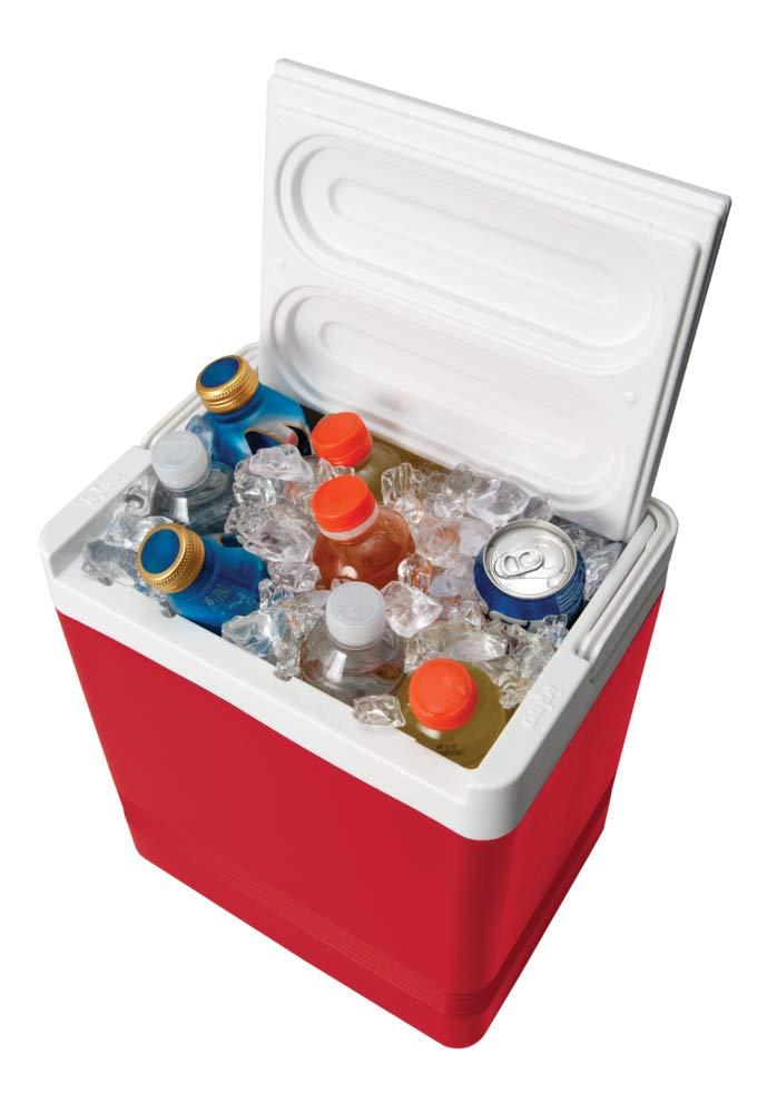 Igloo 24 Can Legend Cooler & Reviews | Wayfair