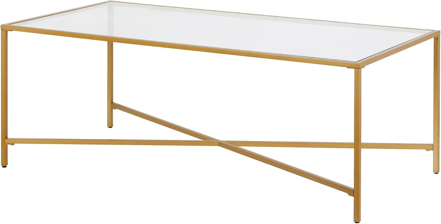 Evelyn&Zoe Henley 48" Wide Rectangular Coffee Table with Glass Top in Brass