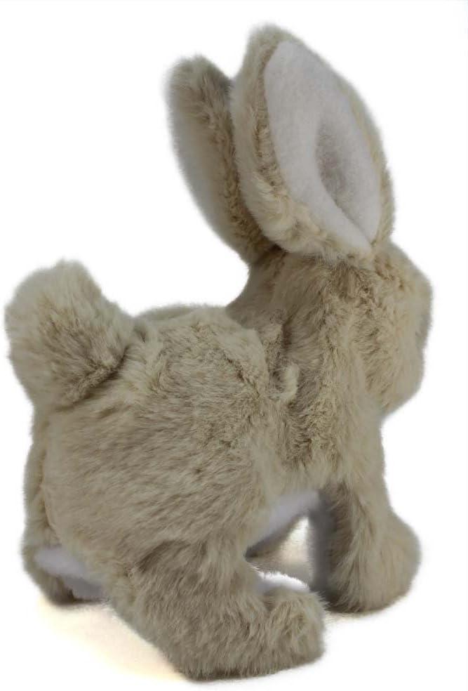 Westminster Inc. Hoppy the Rabbit