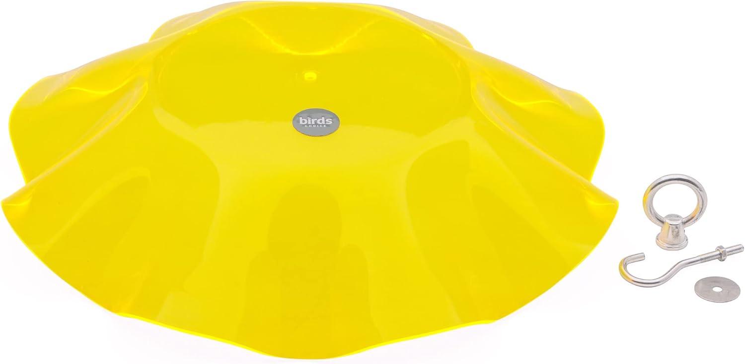 Birds Choice Birds Choice 13" Color Pop Collection Acrylic Bird Feeder Scalloped Weather guard