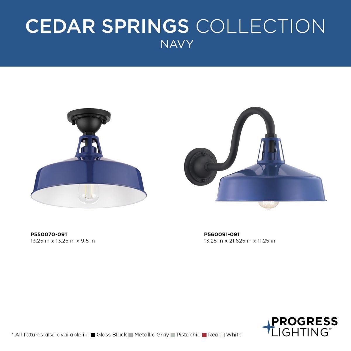 Cedar Springs Collection Navy One-Light Semi-Flush Mount