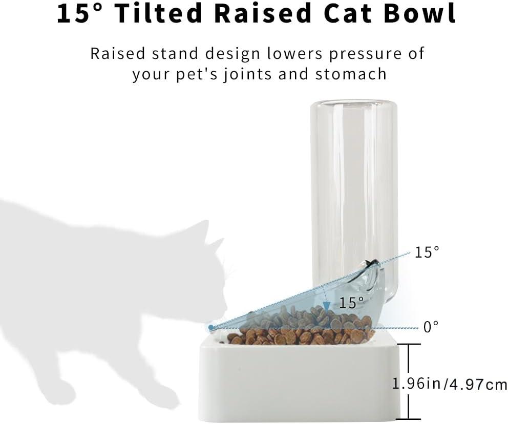 Marchul Tilted Cat Bowl Set for Food and Water, Food Feeding Raised Dishes for Puppies