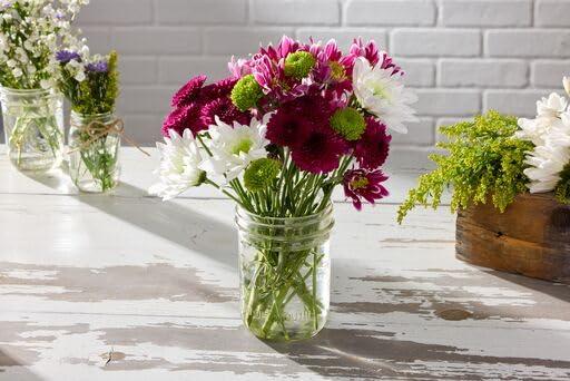 Wide Mouth Mason Jars 16 oz - (2 Pack)