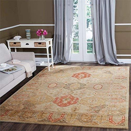 Antiquity Hand Tufted Wool Oriental Rug