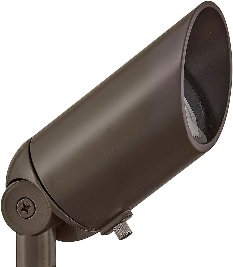 Bronze Low Voltage LED Outdoor Spot Light with Clear Lens