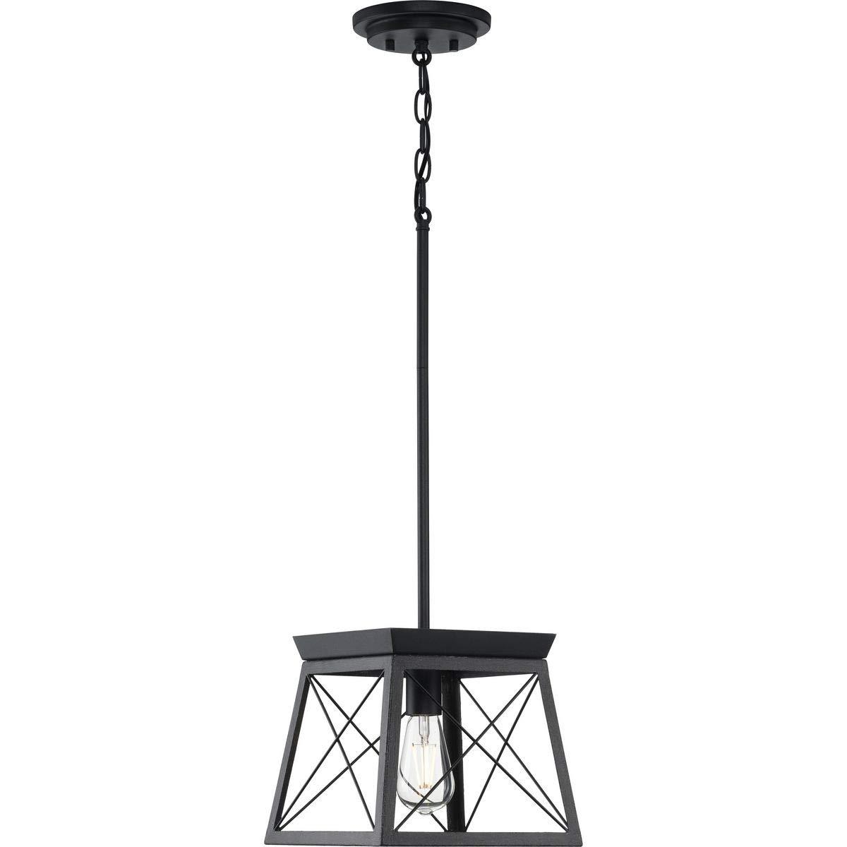 Progress Lighting Briarwood 1-Light Mini-Pendant, Steel, Textured Black, Faux-Painted Wood Enclosure
