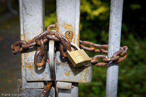 Small Brass Keyed Padlock with Hardened Steel Shackle