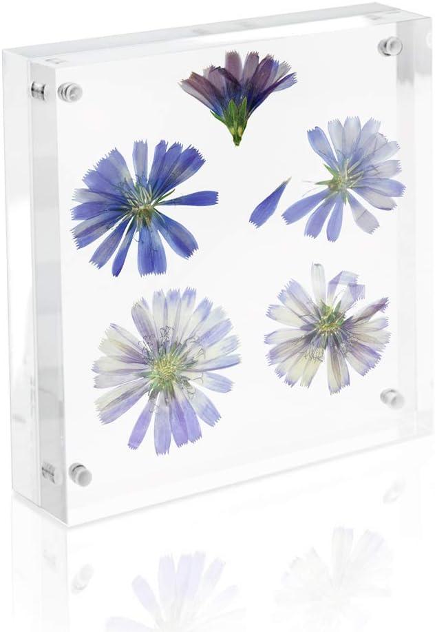 Isaac Jacobs 5x5 Super Thick [28MM Thickness] Clear Acrylic Magnetic Block Picture Frame, Double-Sided, Frameless